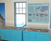 Aquatic Life Display