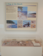 A Day at the Beach Display